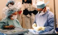 surgery small