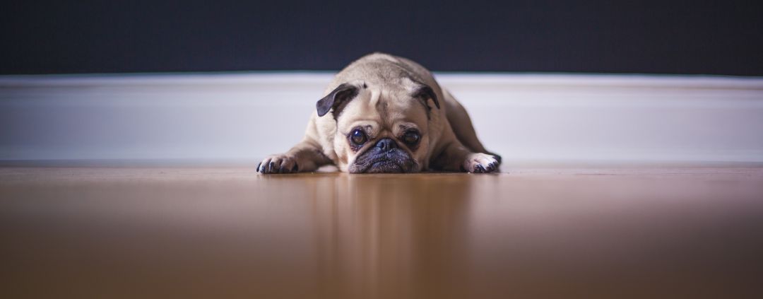 matthew henry 64794 unsplash