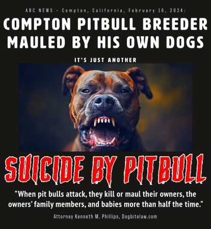Another Suicide by Pit Bull - square post It's Just Another Suicide by Pitbull! (Meme.)