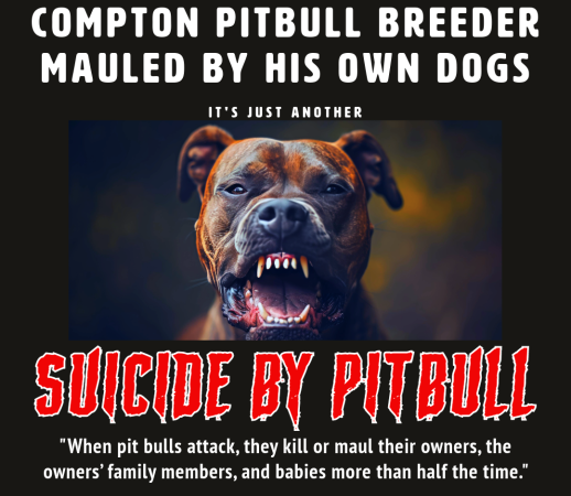 It's Just Another Suicide by Pitbull! (Meme.)