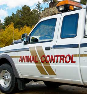animal control vehicle