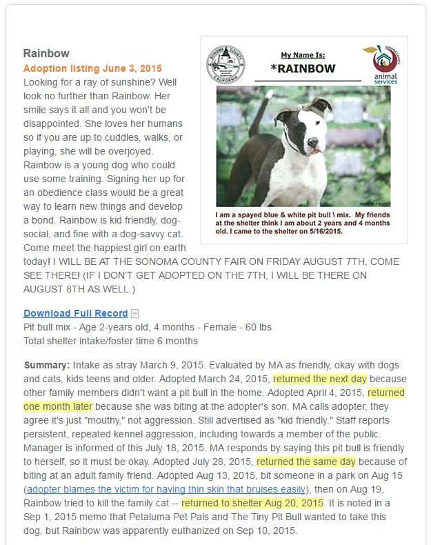 Post regarding Rainbow, a vicious pitbull which was adopted-out by a government shelter.