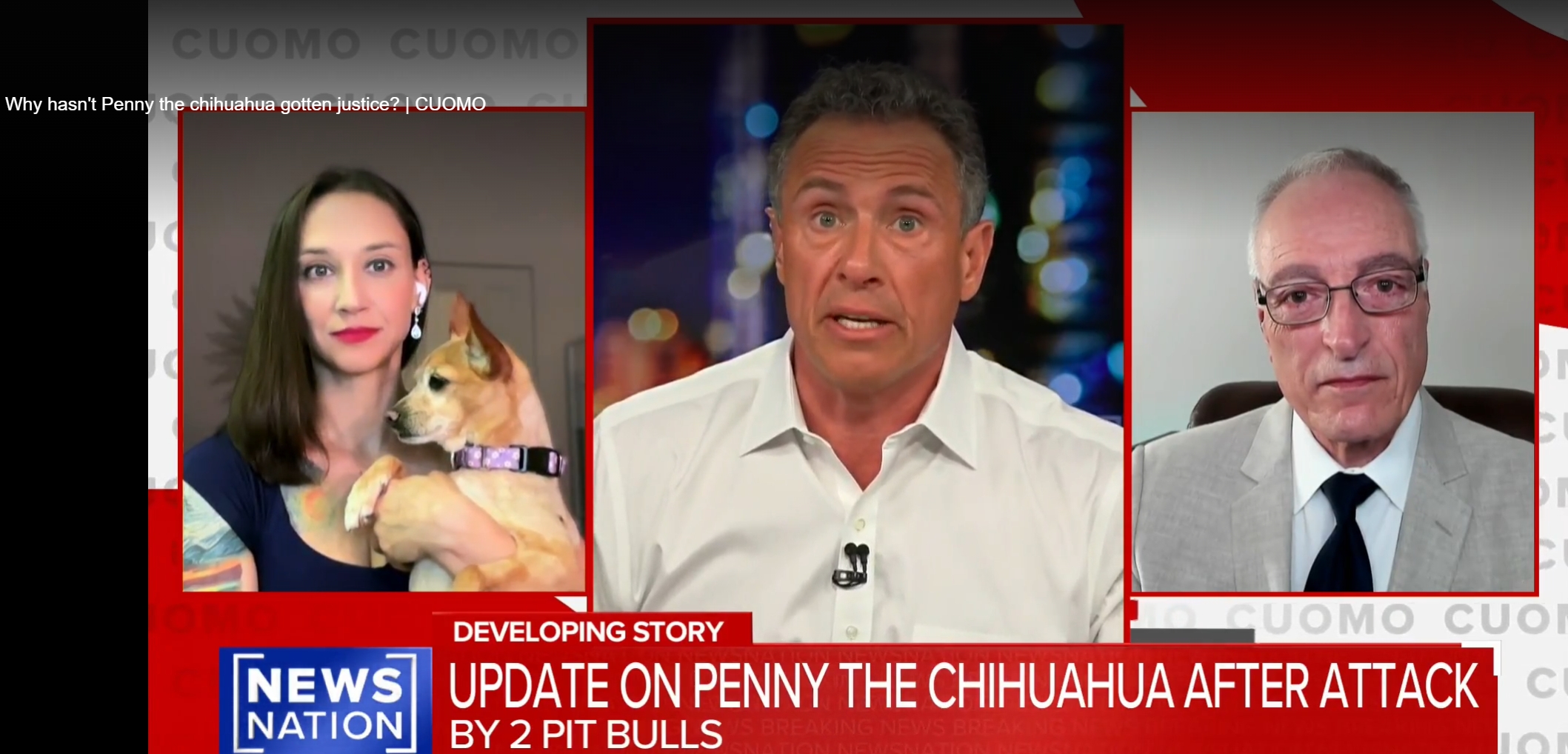 Screen shot: Attorney Kenneth M. Phillips talks to Chris Cuomo on NewsNation about the pit bull attack on Penny the Chihuahua, May 30, 2025